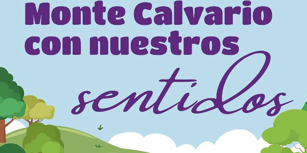 Screenshot 2024-10-12 at 16.06.29